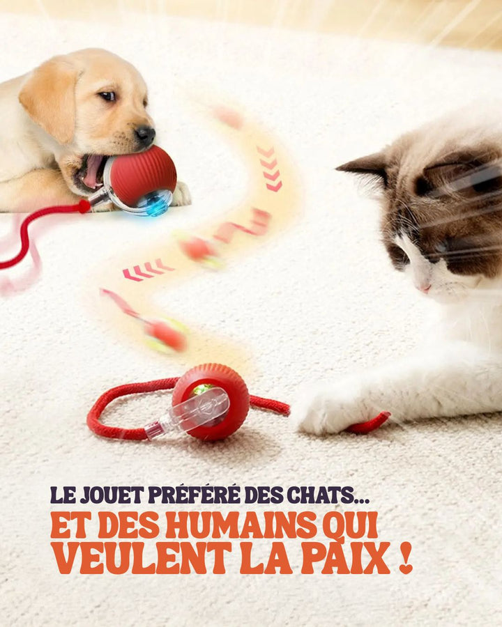 CrazyBall - Balle interactive LED pour chiens et chats